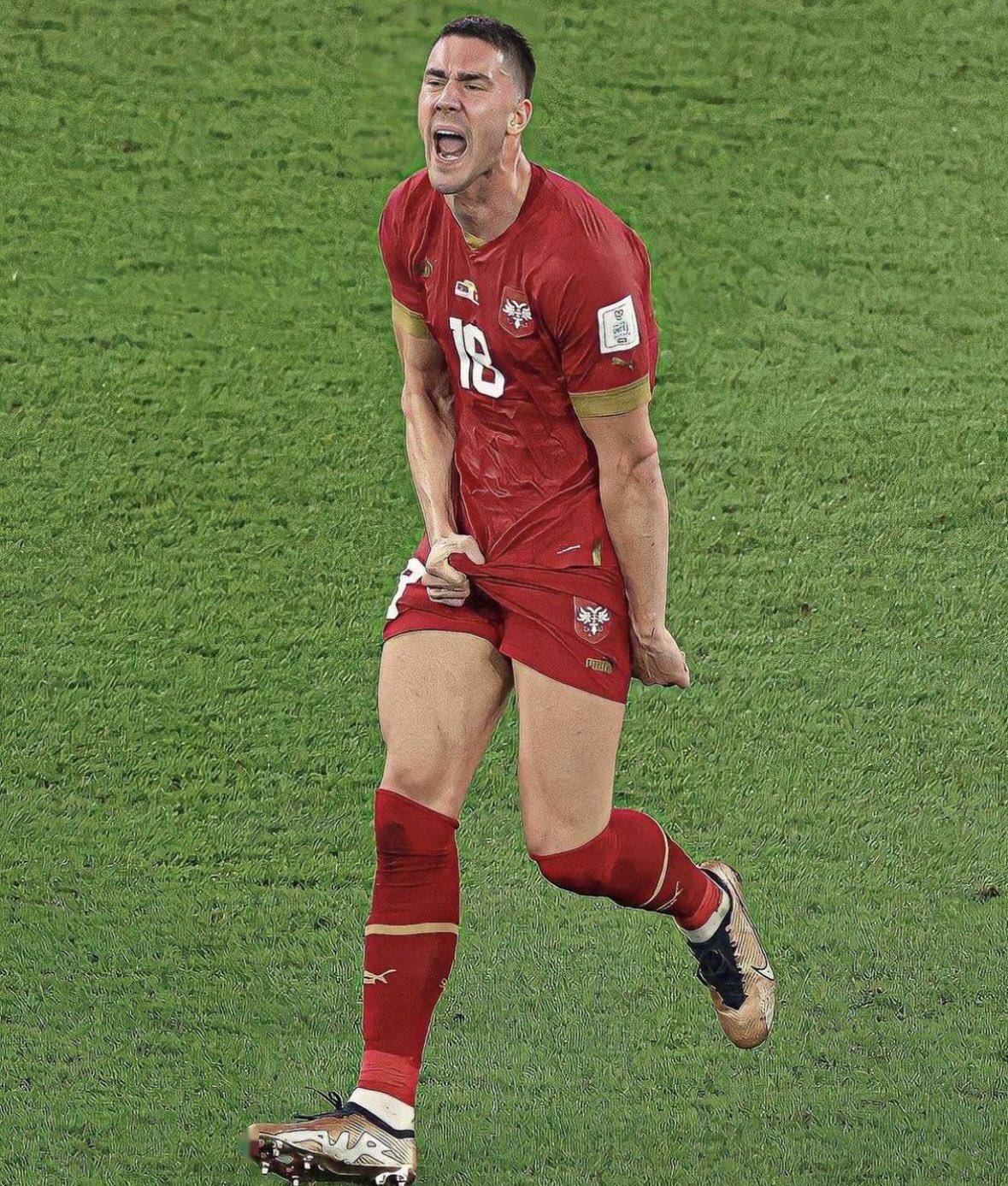 九游体育官网包含西亚卡姆重返赛场，表现优异首场状态出色，塞尔维亚队观众沸腾！上演精彩一战的词条